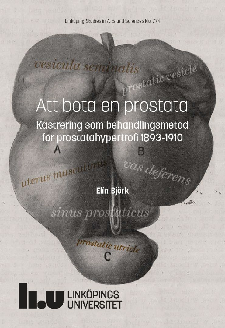 Avhandlingen Att bota en prostata