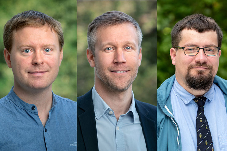 Wallenberg Academy Fellows 2019