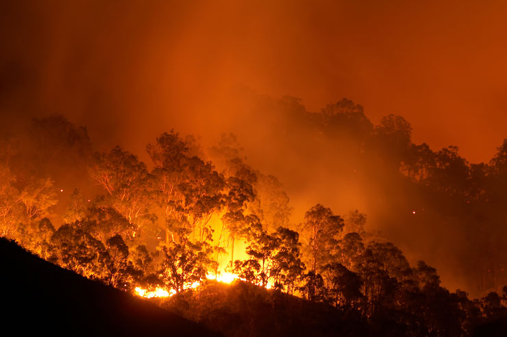 Skogsbrand i natten.