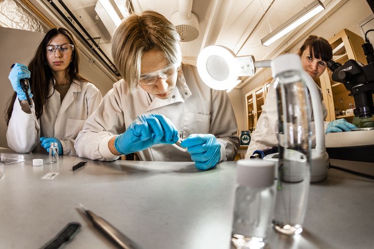 Halvbild i vidvinkelformat. Tre personer iklädda blå gummihandskar och vita labbrockar arbetar med olika kemiverktyg vid en arbetsbänl.