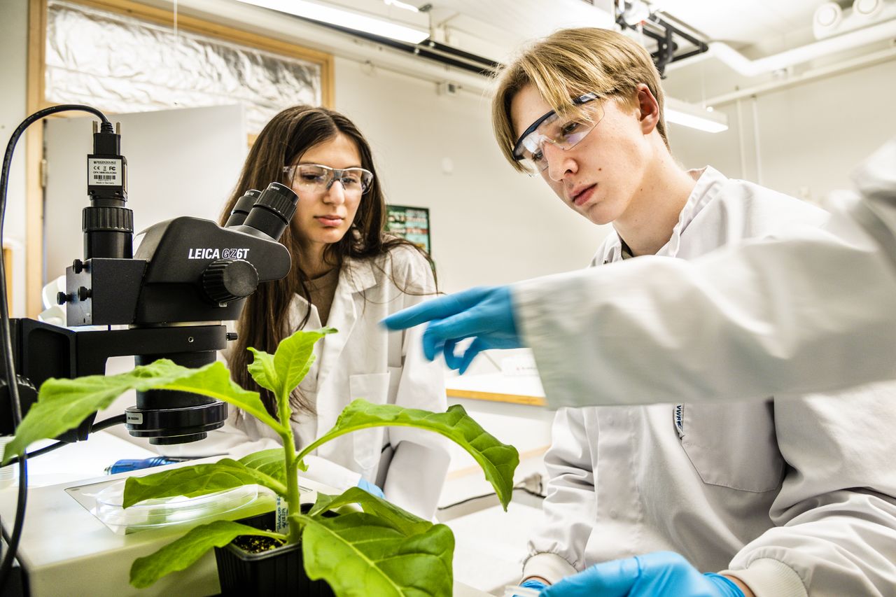 Två gymnasieelever, Caroline Paulis Najeeb och Jonathan Sjöman, tittar på ett mikroskop.