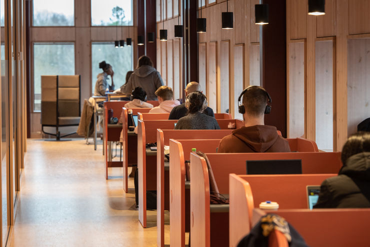 A row of study seats with reading students.