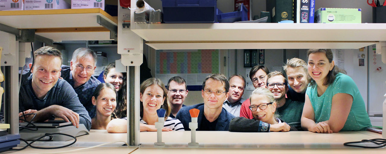 Group photo of coworkers connected to Experimental orthopedics