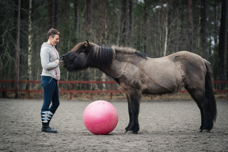 En kvinna, häst och pilatesboll. Hästen har sitt huvud nära en kvinnans händer