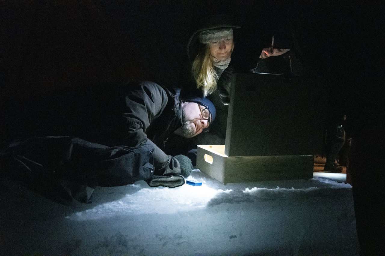 Foes konferens i Luleå 26-27/2 2020.