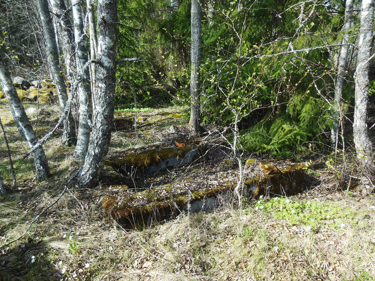 En överväxt betongstruktur anas på marken i skogen.