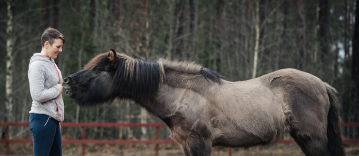 En kvinna och en häst. Hästen har sitt huvud nära en kvinnans händer.