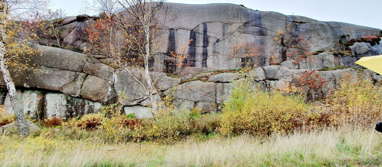 Naturbild på stenar vid Lysekil.