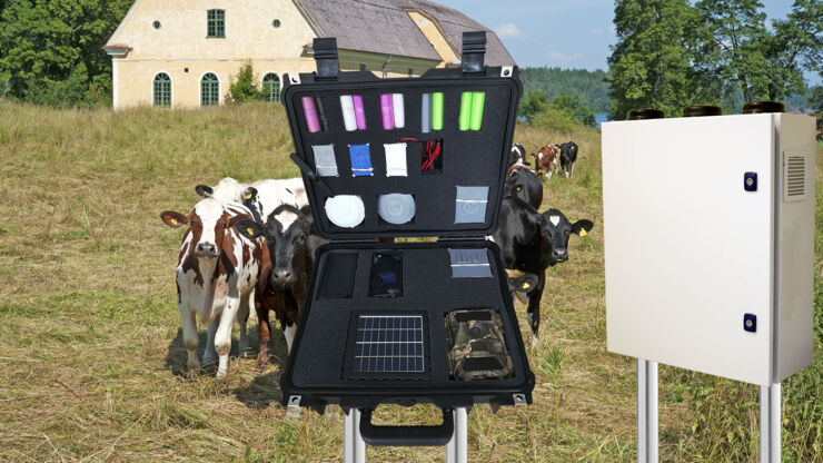 Cows on pasture with a bag with data collection technology in the foreground.