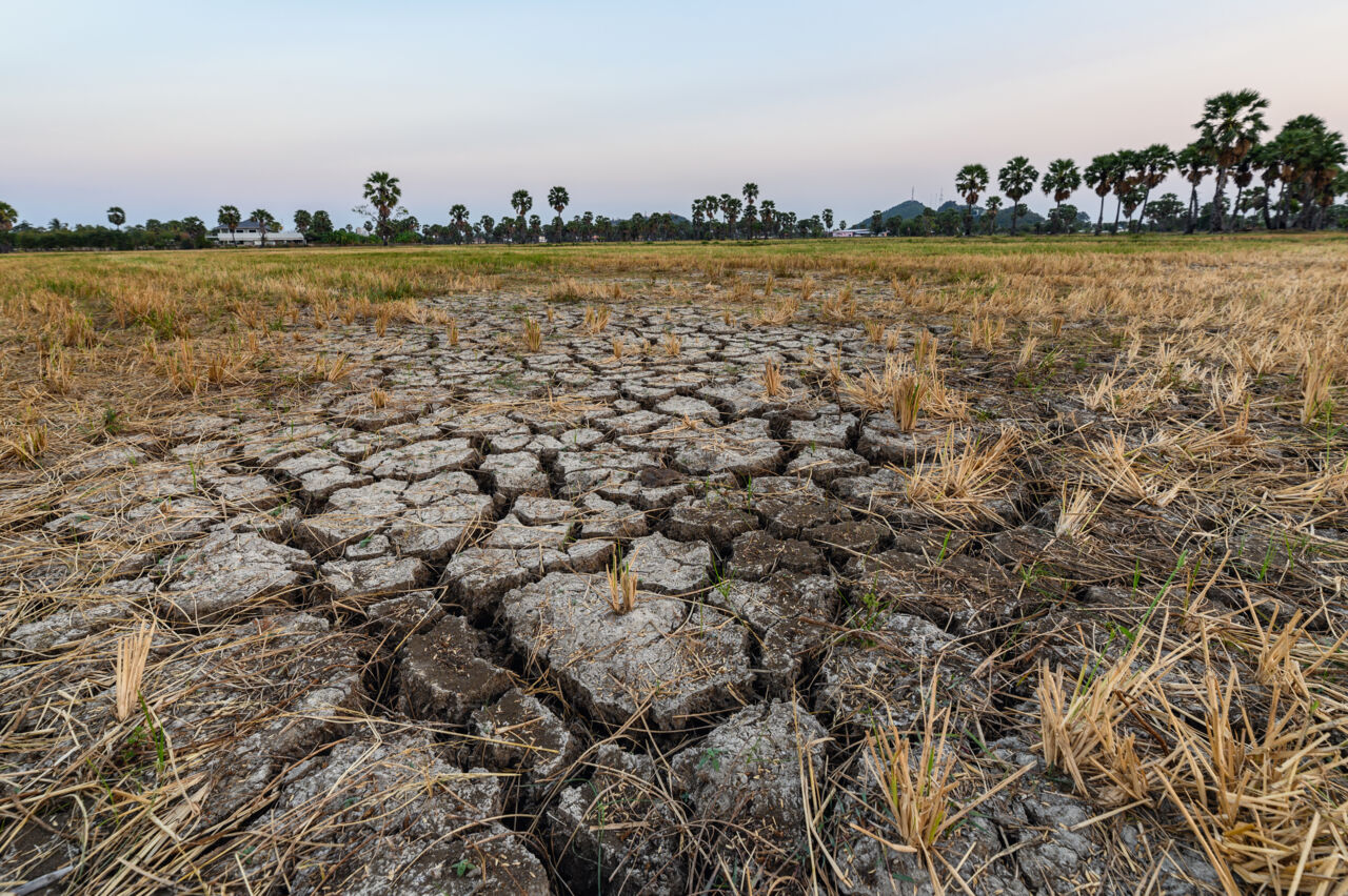 Climate change