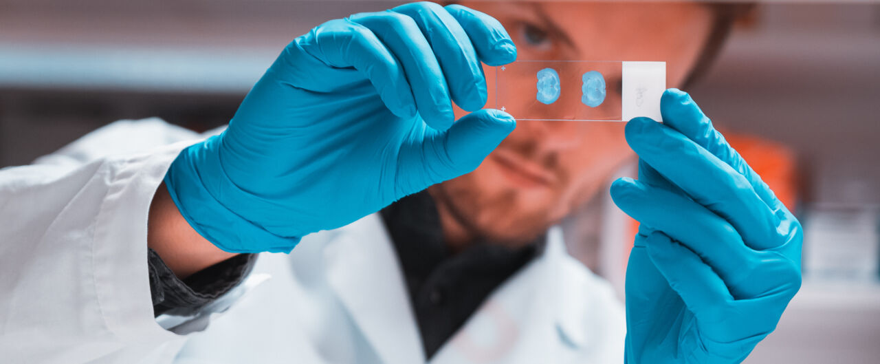 A researcher is looking at encased samples in a lab.