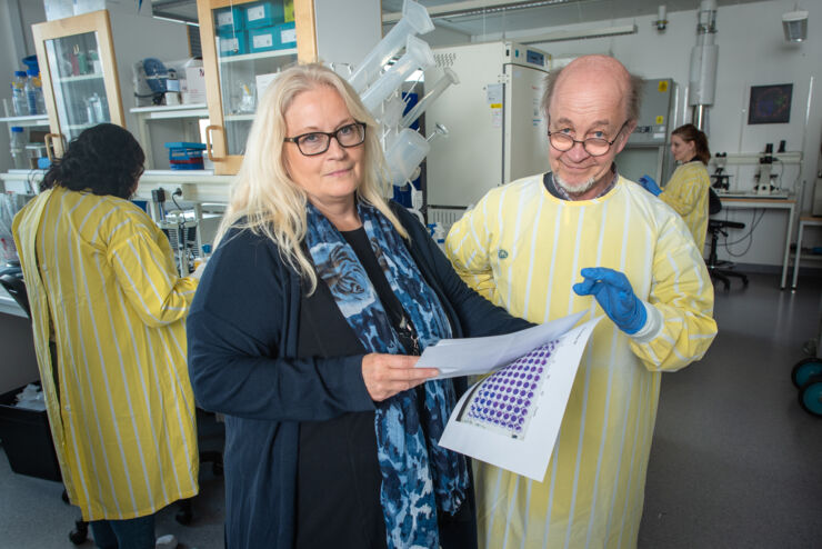 Professor Marie Larsson och professor Jorma Hinkula diskuterar provresultat i labbet.