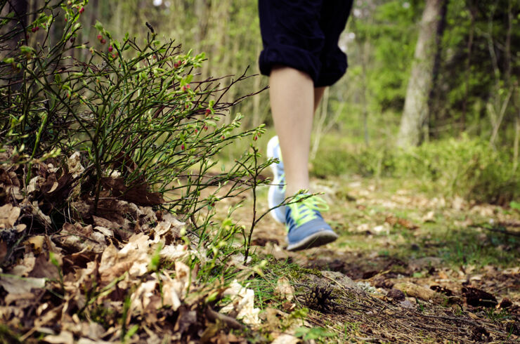 Bild på fötter som springer i skogen