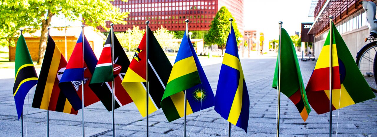 Flaggor från länder som ingår i forskningsamarbetet.