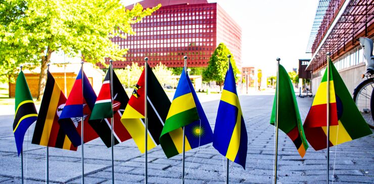 Flags of countries taking part in the research collaboration.