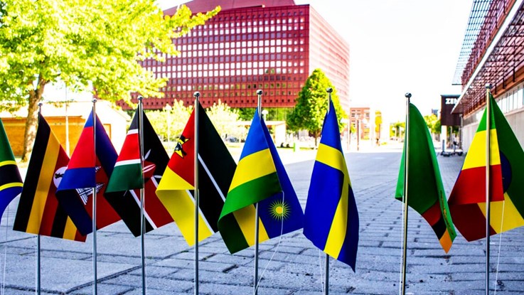 Flags of countries taking part in the research collaboration.