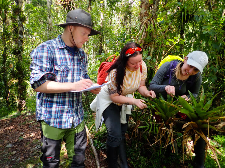 One man and two women examine a plant in the rainforest