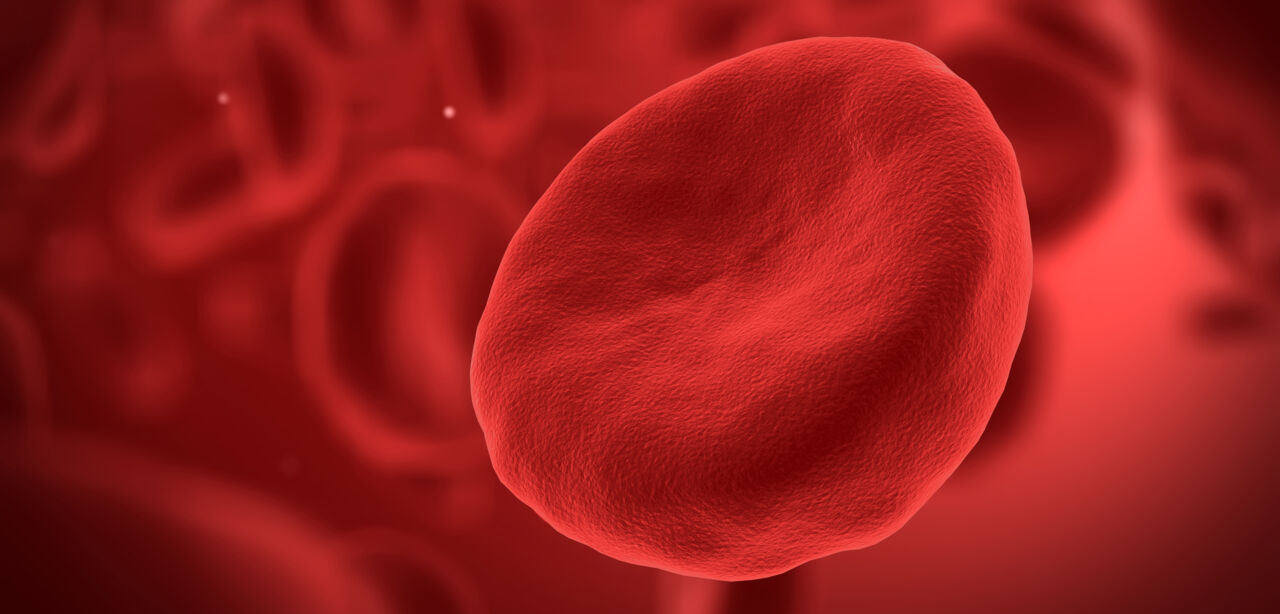 Human blood cells with one red cell in front.