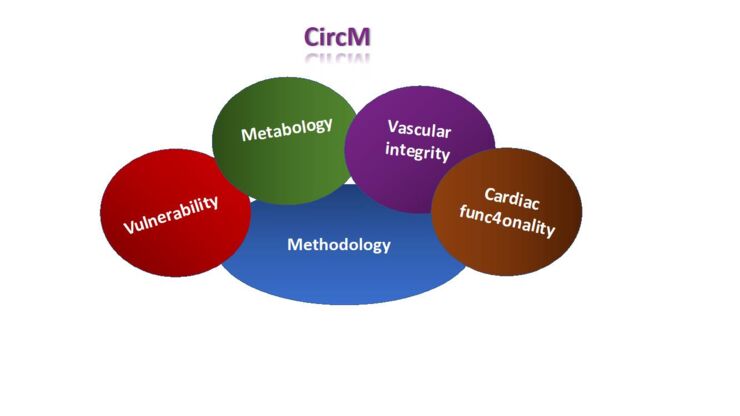 Graphic with five colourful bubbles with the text vulnerability, meatabology, vascular integrity, cardiac func4onality and methodology in them.