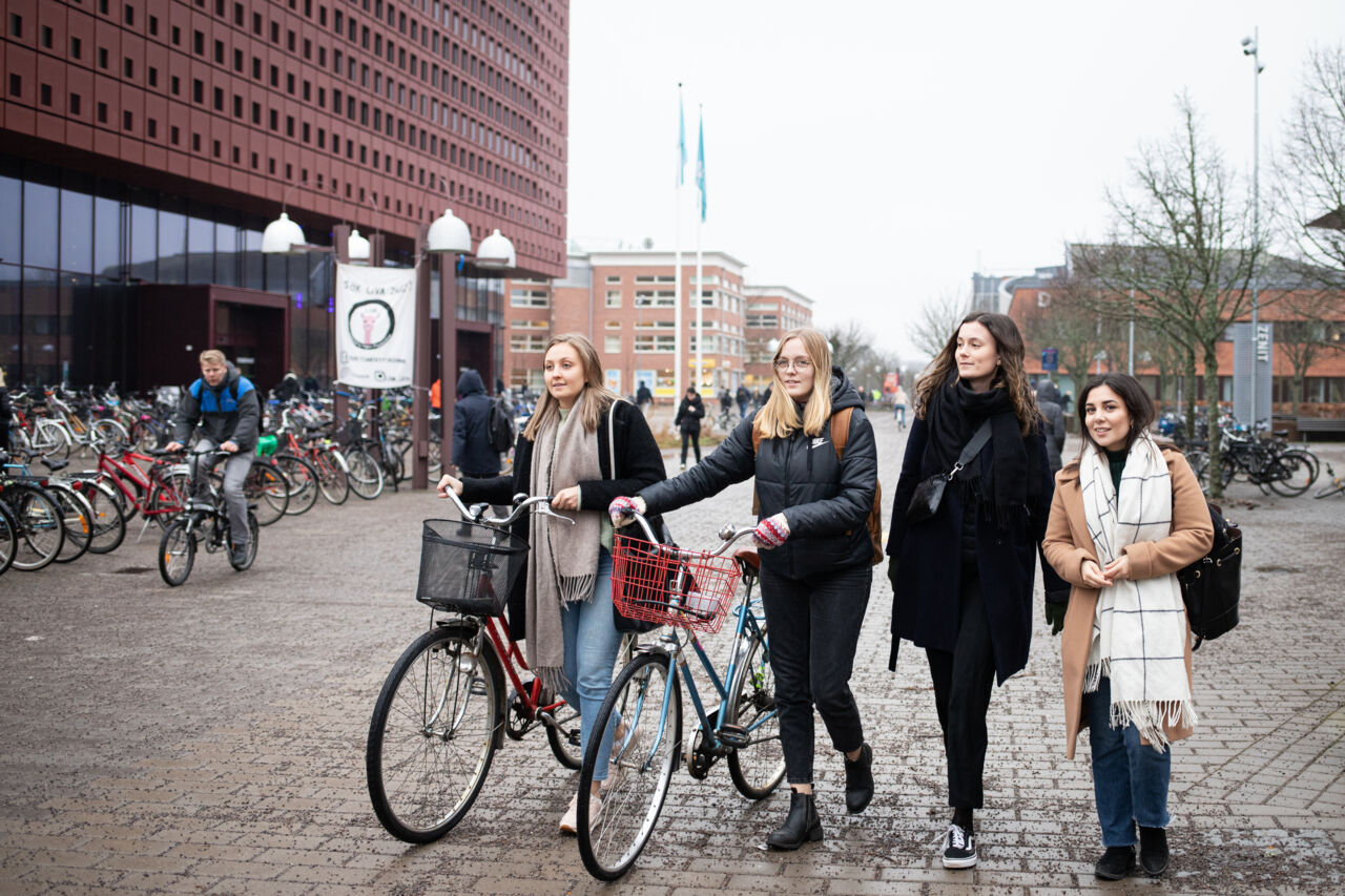 Fyra studenter går utanför Studenthuset på Campus Valla en höstdag.