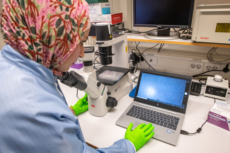 Fatemeh Rasti Boroojeni checking the cells.