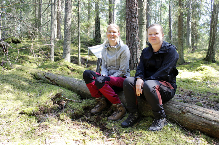 Två unga kvinnor som sitter på en trädstam mitt i en granskog.