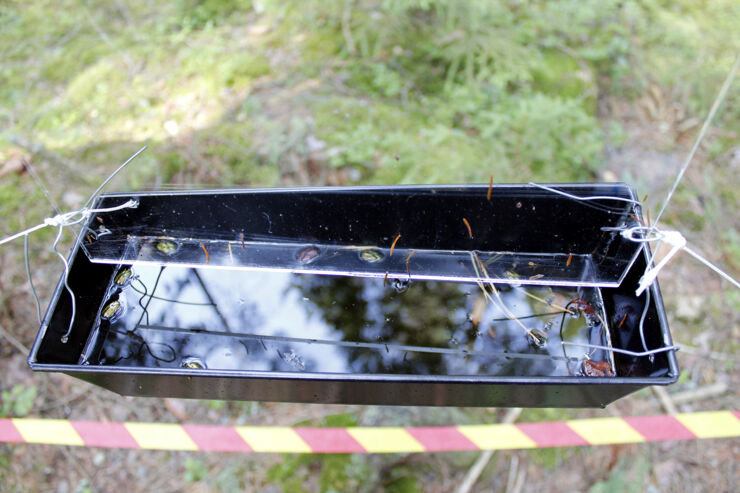 Ett svart tråg med en lodrät plexiglasskiva som hänger ovanför tråget.
