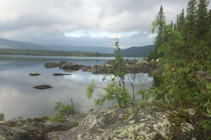 Nordlig sötvattensjö