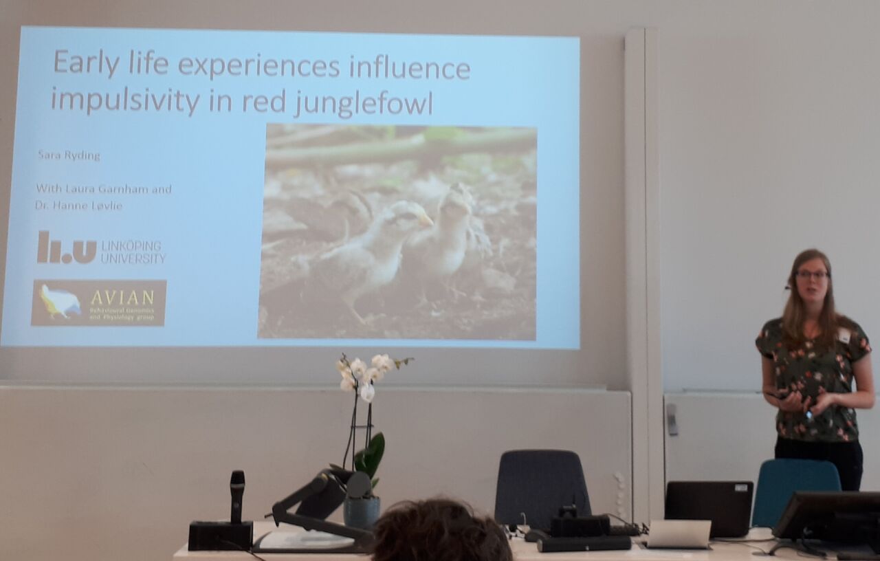 Sara Ryding presenting her student work