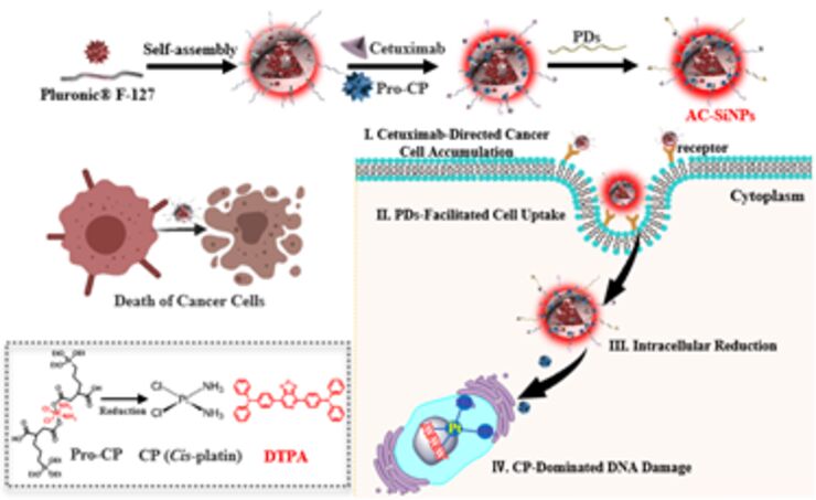 Highly Efficient Nano-Carrier for Drug Delivery Aiming at Cancer Treatment