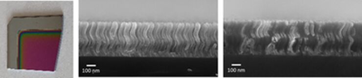 Optical and Mechanical studies of Bouligand Structures