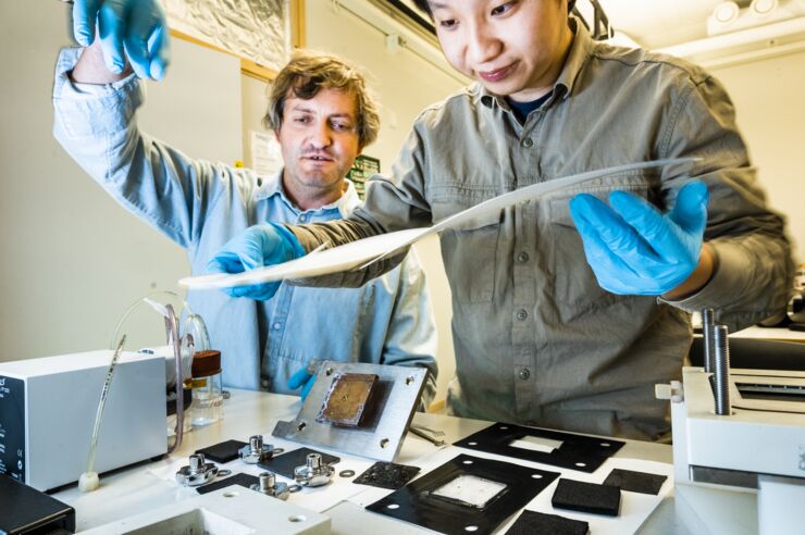Mikhail Vagin and Penghui Ding working in the laboratory.