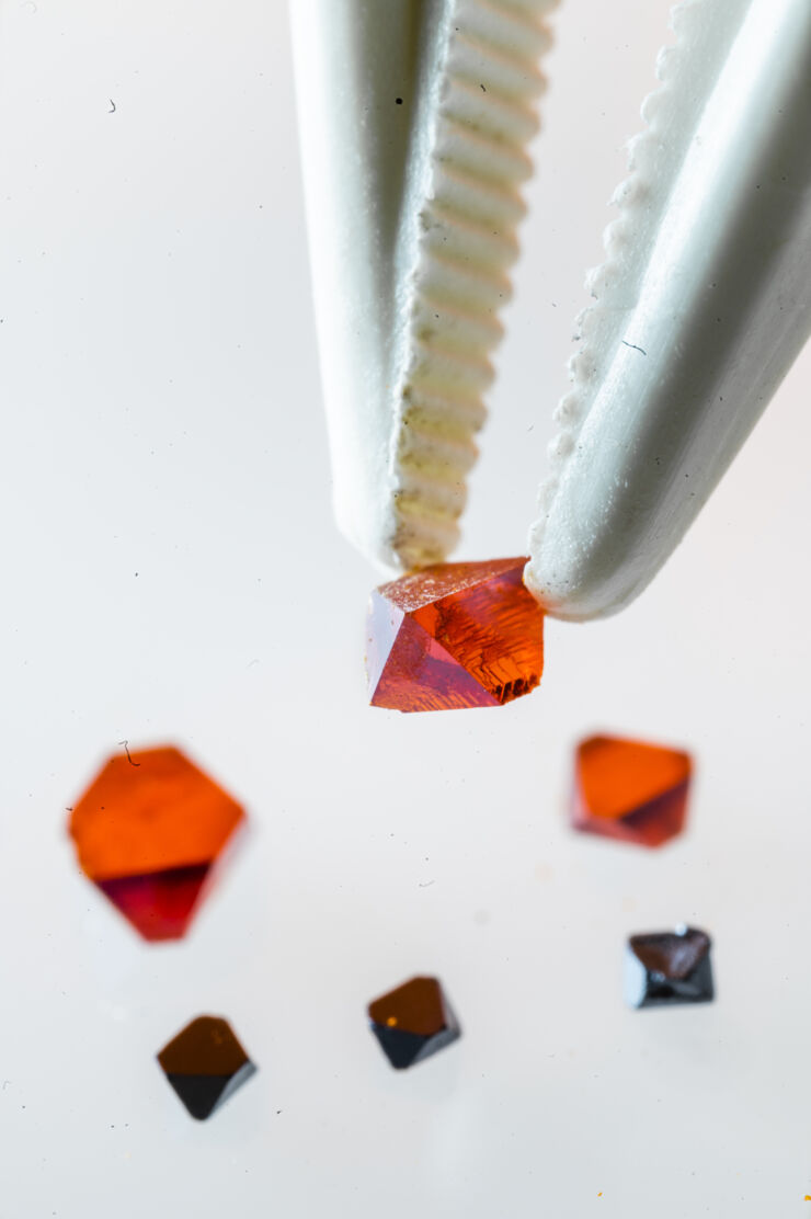 Red perovskite in forceps.