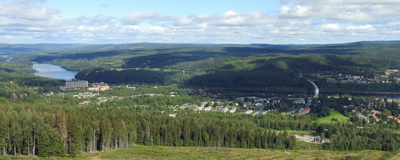 Sollefteå, town in the nothern part of Sweden.