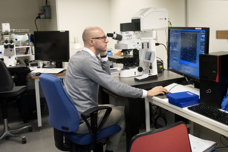 Reseacher looking av microscopic image on a computer screen.