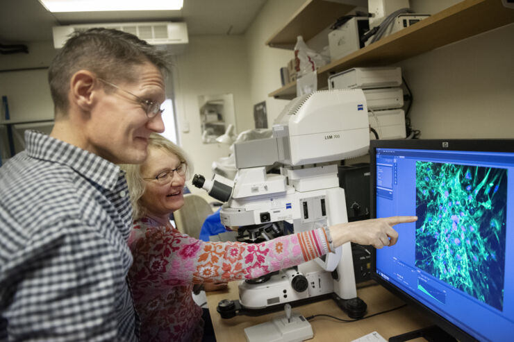 Vesa Loitto och Karin Öllinger looking at microscop images at a computer screen..