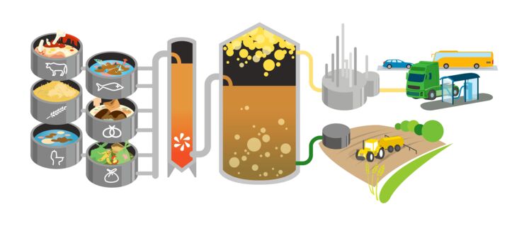 Grafisk illustration av biogasproduktion.