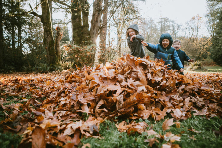 Children in the forest