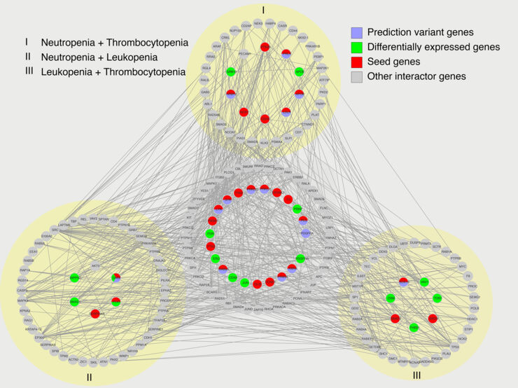 illustration of gene network.