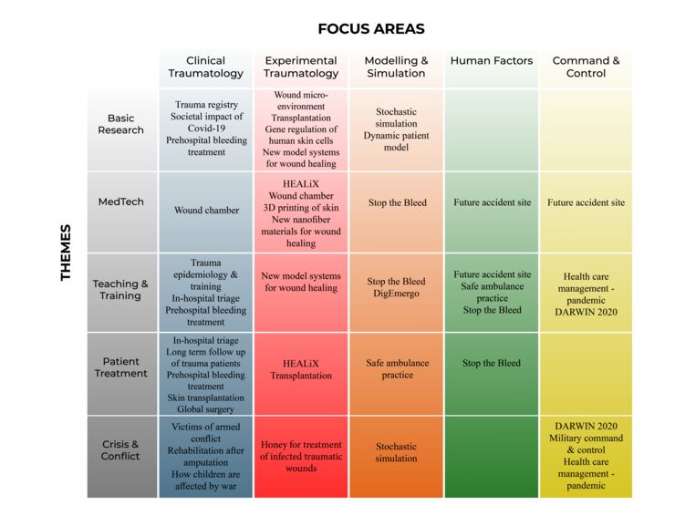 Focus areas in Disaster Medicine.
