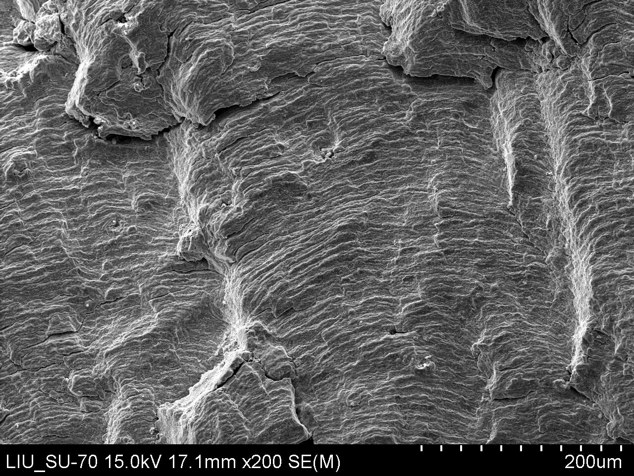 Illustration that shows region of crack propagation