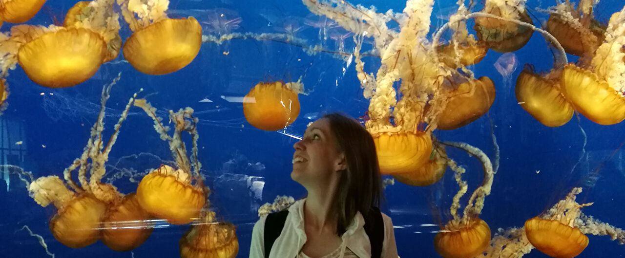 Kajsa Igelström, PI at CSAN, stands in front of an aquarium with jellyfish.