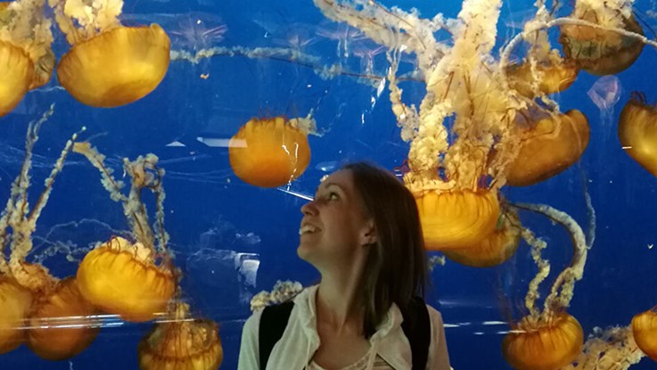 Kajsa Igelström, PI at CSAN, stands in front of an aquarium with jellyfish.