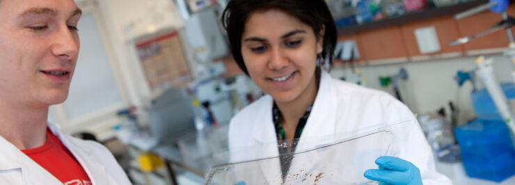 scientists in a chemistry lab