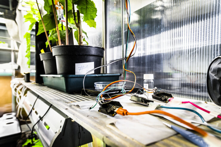 Elektronik ligger på arbetsbänk bredvid växter.