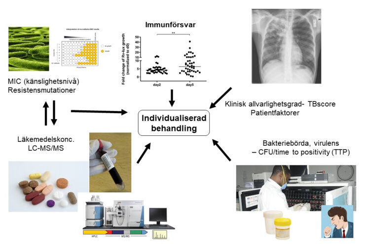 Individualiserad behandling och diagnostik vid tuberkulos.