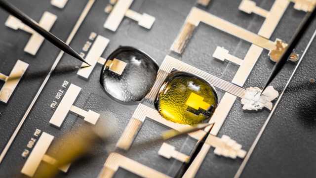 Two droplets, one yellow and one clear, on circuits.