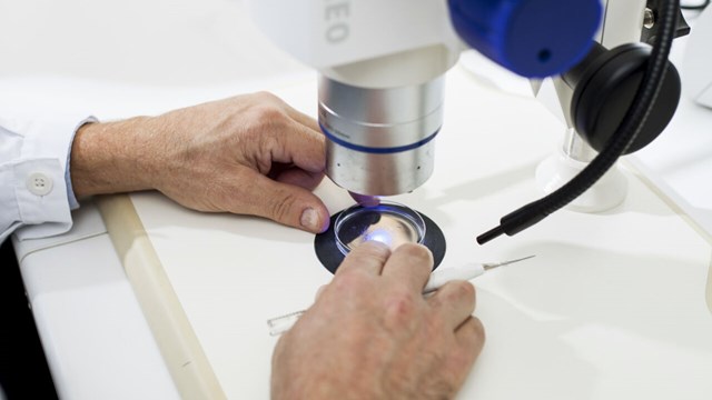Image of a researcher working with a microscope.