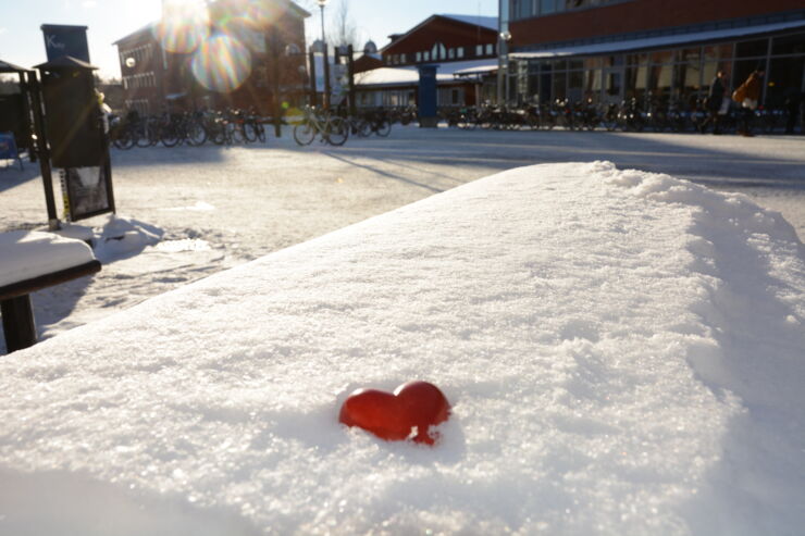 Bild på ett hjärta i snön