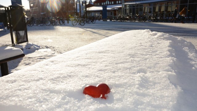 Bild på ett hjärta i snön